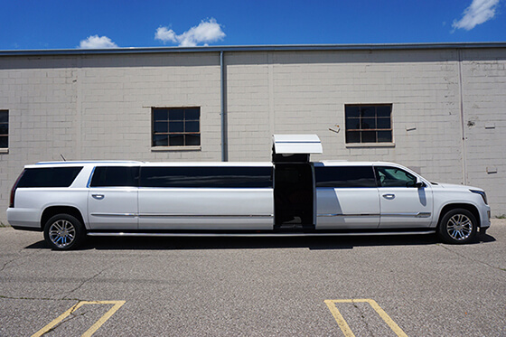 20-passenger limo rentals